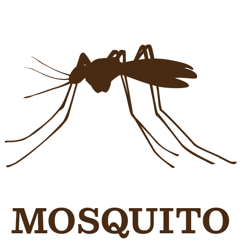 Mosquito